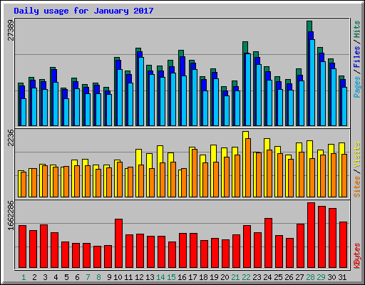 Daily usage for January 2017