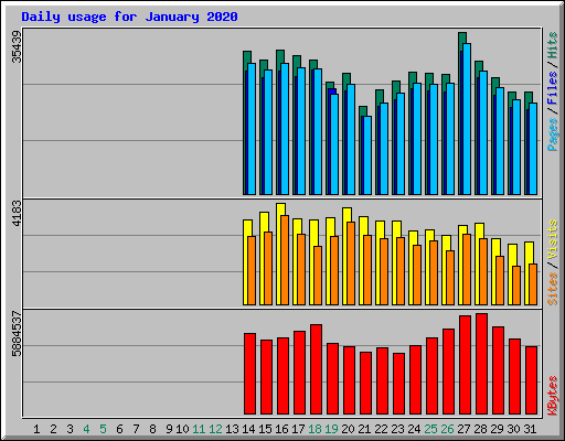 Daily usage for January 2020