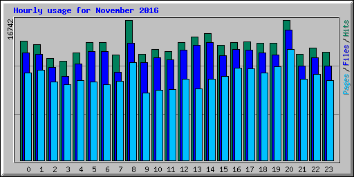 Hourly usage for November 2016