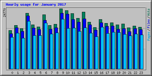 Hourly usage for January 2017