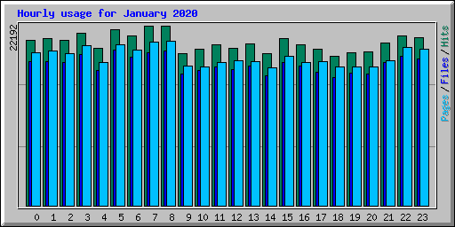 Hourly usage for January 2020