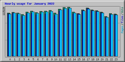 Hourly usage for January 2022