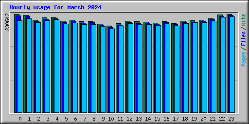 Hourly usage for March 2024