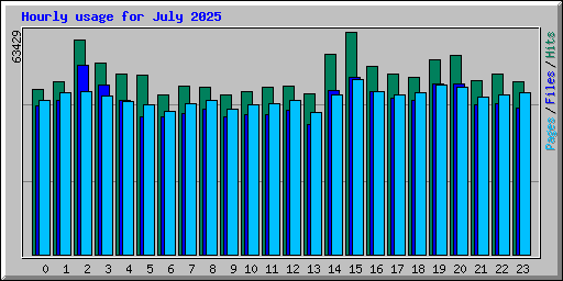 Hourly usage for July 2025