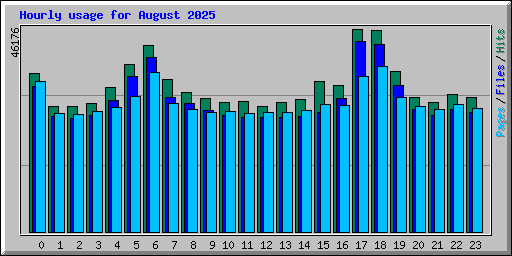 Hourly usage for August 2025