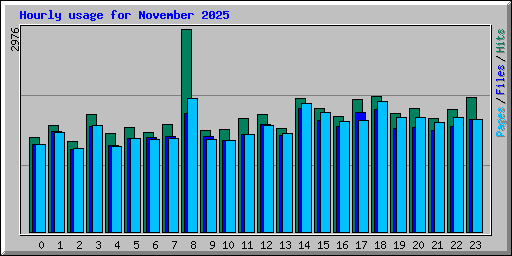 Hourly usage for November 2025
