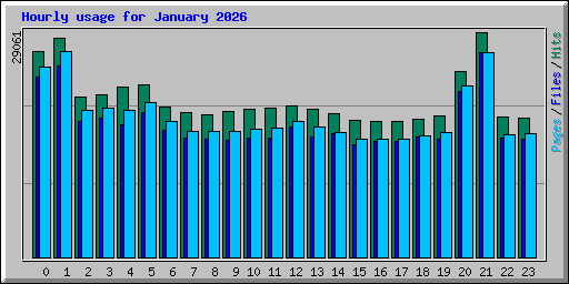 Hourly usage for January 2026