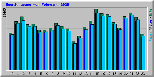 Hourly usage for February 2026