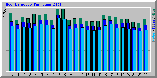 Hourly usage for June 2026